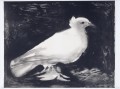 鳩鳥白黒キュビズム パブロ・ピカソ